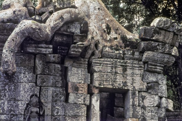 1965-Crushed-by-the-weight-of-time-at-Angkor-Wat-Kamboscha