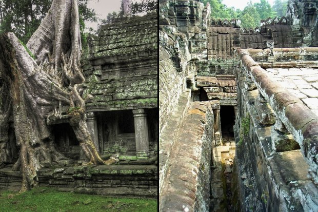 Angkor-Wat-Tree-on-left-and-cramped-corridors-of-ancient-Bayon
