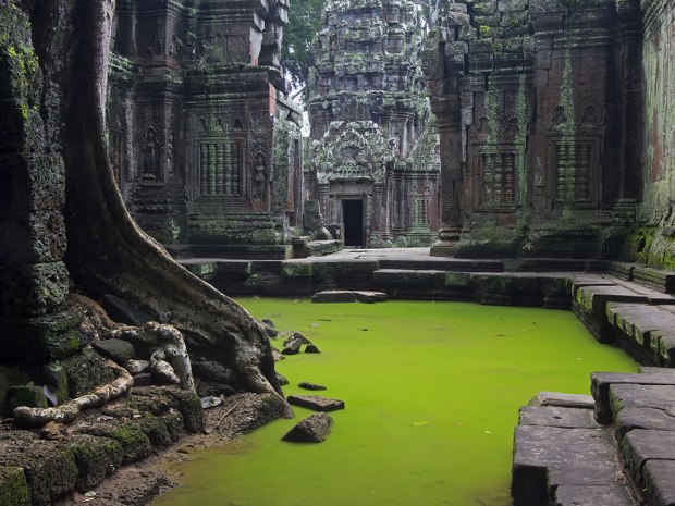 Echoes-of-Silence-the-beauty-and-mystical-ambience-of-Ta-Prohm.-Angkor-Cambodia