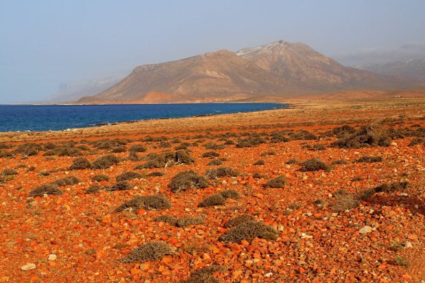 Socotra-is-the-largest-of-four-islands-off-Yemen-that-make-up-a-small-archipelago