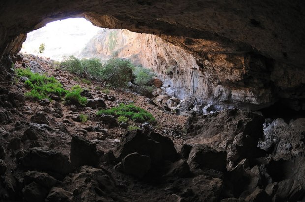 Wadi-Geneb-cave-at-Socotra